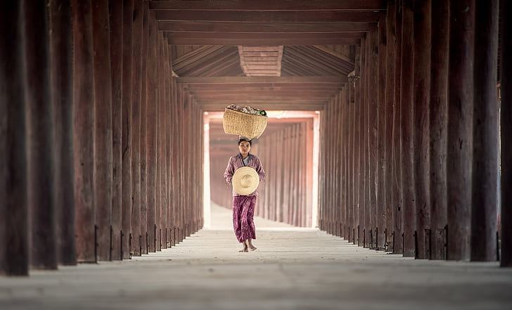 做错事老婆和我离婚了怎么办