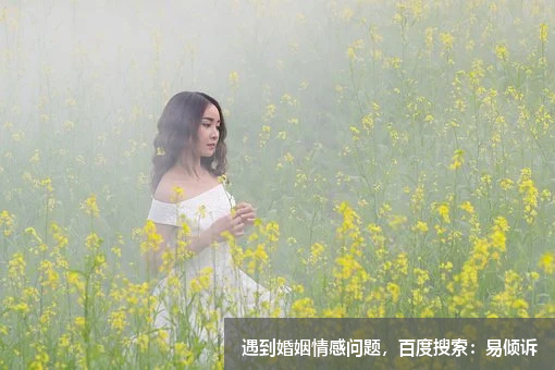 《爱的再次绽放：一个失散情侣的重逢之旅》