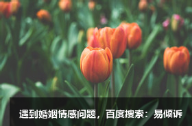 胡雅心理咨询师/倾诉师-面对和探索自己