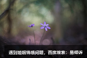 把人感动哭的情话，一些让人感动的情话