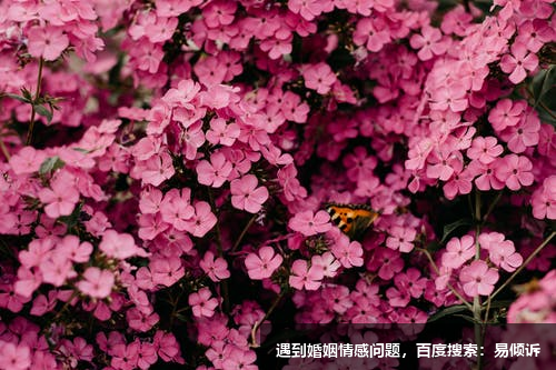 翟洋心理治疗师，专注婚姻家庭婚外情等婚姻关系的解决