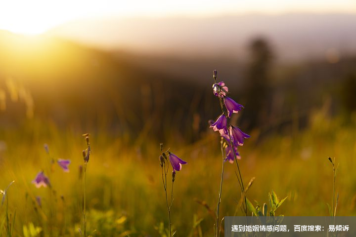 女生发微信时的小暗语，男生懂什么意思吗？