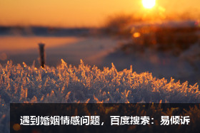 赵燕青心理咨询师/倾诉师-温和坚定、与爱相随