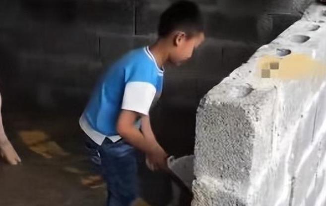 留守娃轮流摆拍喂猪完成作业：拒绝流于形式的教育