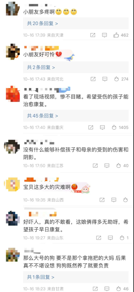 成都女童遭烈犬撕咬事件:必须将狗主人绳之以法!