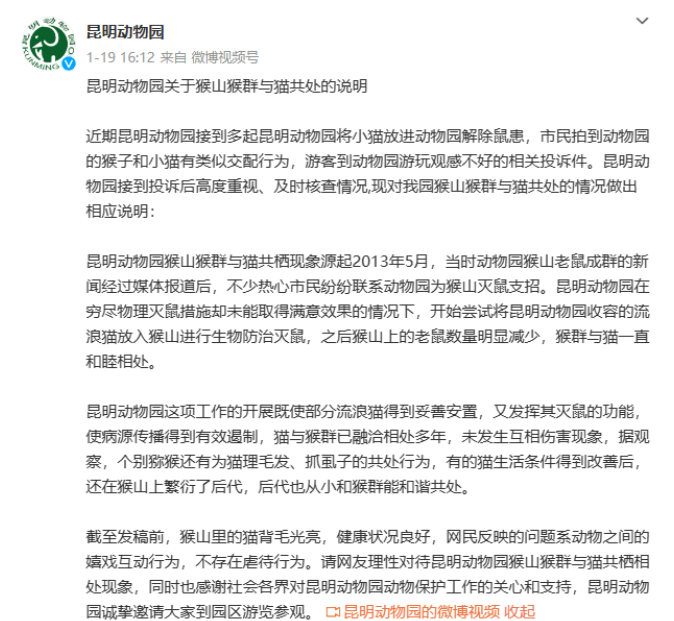 昆明“猴子虐猫事件”持续发酵,背后需要思考什么?