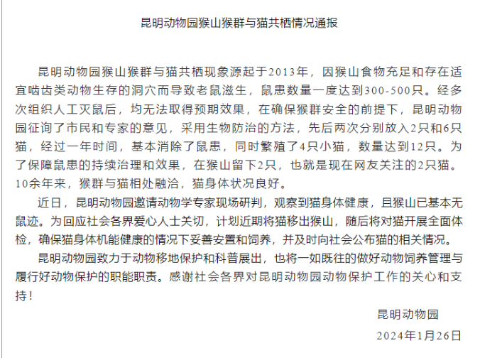 昆明“猴子虐猫事件”持续发酵,背后需要思考什么?