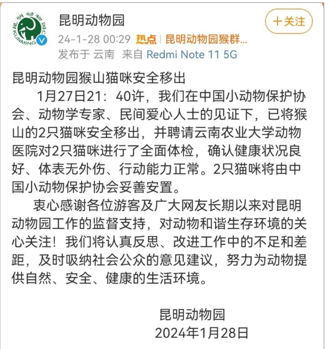 昆明“猴子虐猫事件”持续发酵,背后需要思考什么?